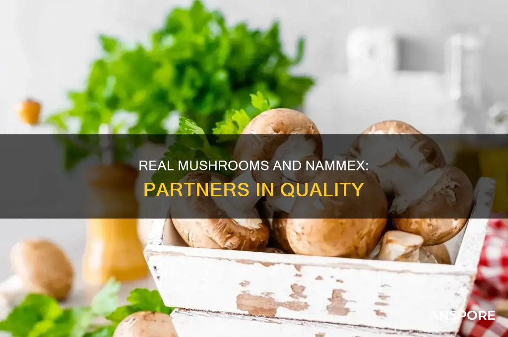 does nammex provide mushrooms for real mushrooms