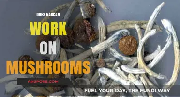 Narcan and Mushrooms: What's the Deal?