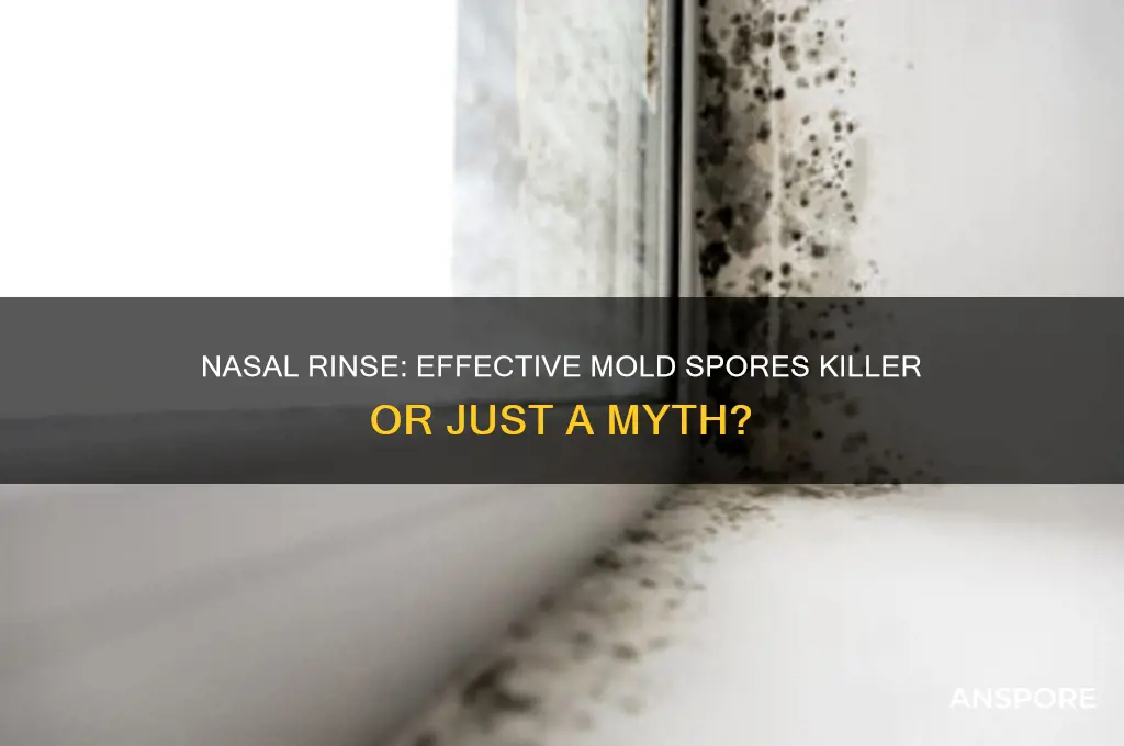 does nasal rinse kill mold spores