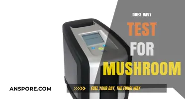 Mushroom Use: Navy's Stance and Testing Policy