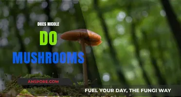 Mushroom Consumption: Nicole's Take on Psychedelics