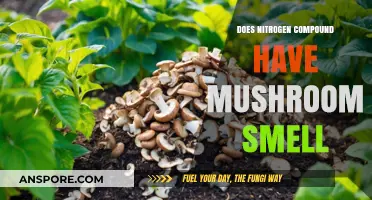 Mushroom Smell: Is It Nitrogen Compound?