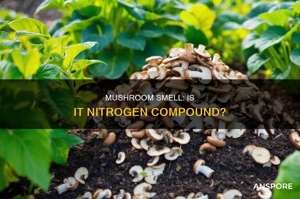 does nitrogen compound have mushroom smell