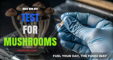 Mushroom Testing: Non-DOT Drug Test Detection