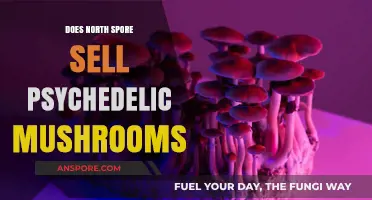 Does North Spore Sell Psychedelic Mushrooms? Exploring Legal Boundaries