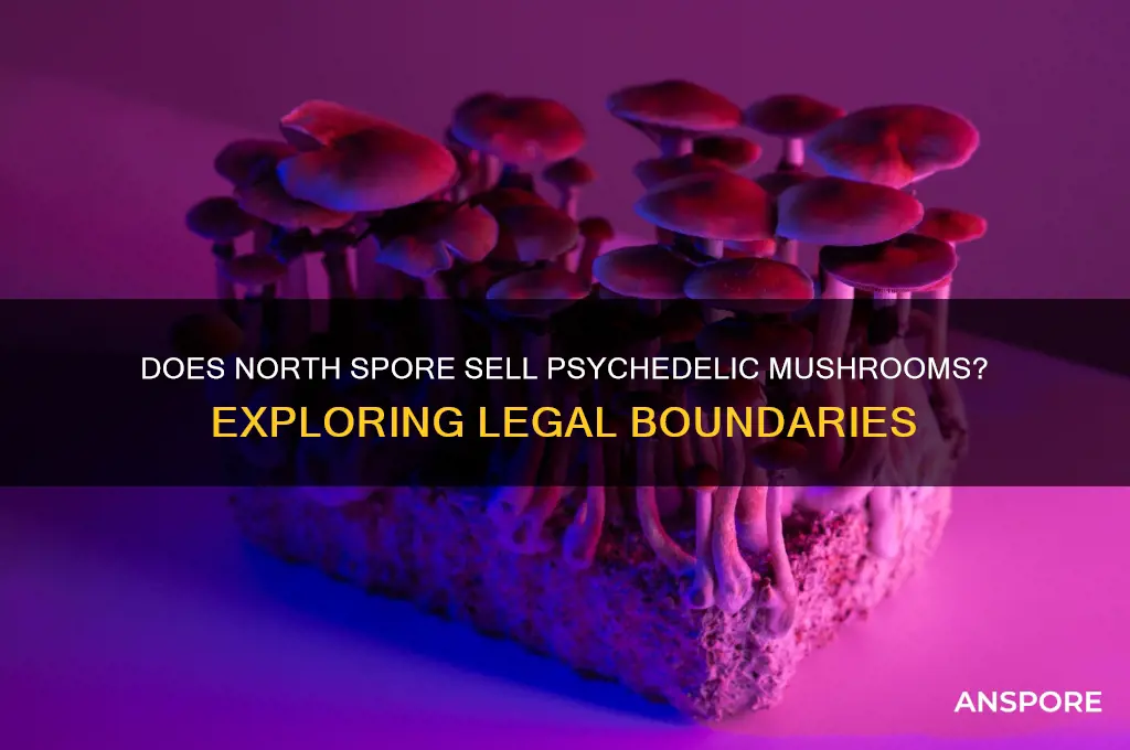 does north spore sell psychedelic mushrooms