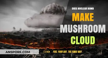 Explosive Truth: Do Nuclear Bombs Always Create Mushroom Clouds?