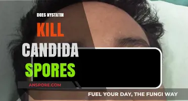 Nystatin's Effectiveness: Can It Eliminate Candida Spores Effectively?