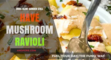Olive Garden's Mushroom Ravioli: Still on the Menu?