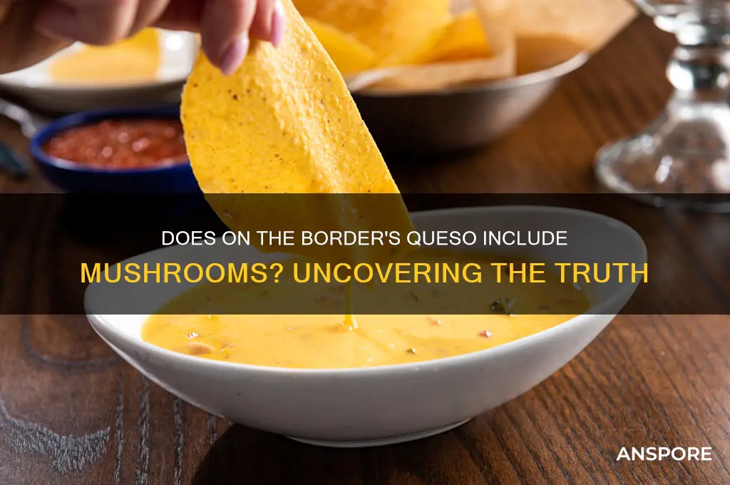 does on the border use mushrooms in their queso