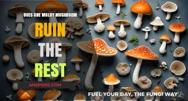 Moldy Mushrooms: One Ruins the Bunch