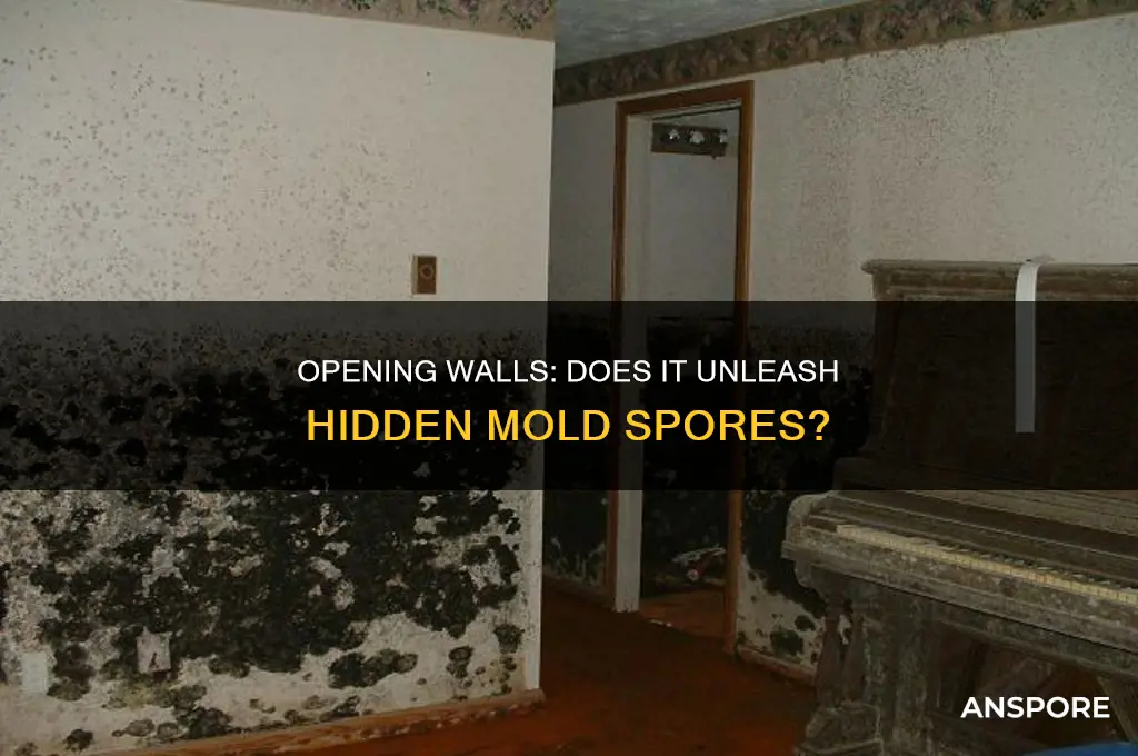 does opening up a wall automatically release mold spores