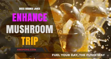 Mushroom Tripping: Orange Juice's Surprising Effect