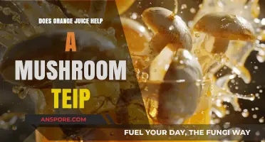 Orange Juice: A Natural Mushroom Trip Enhancer?