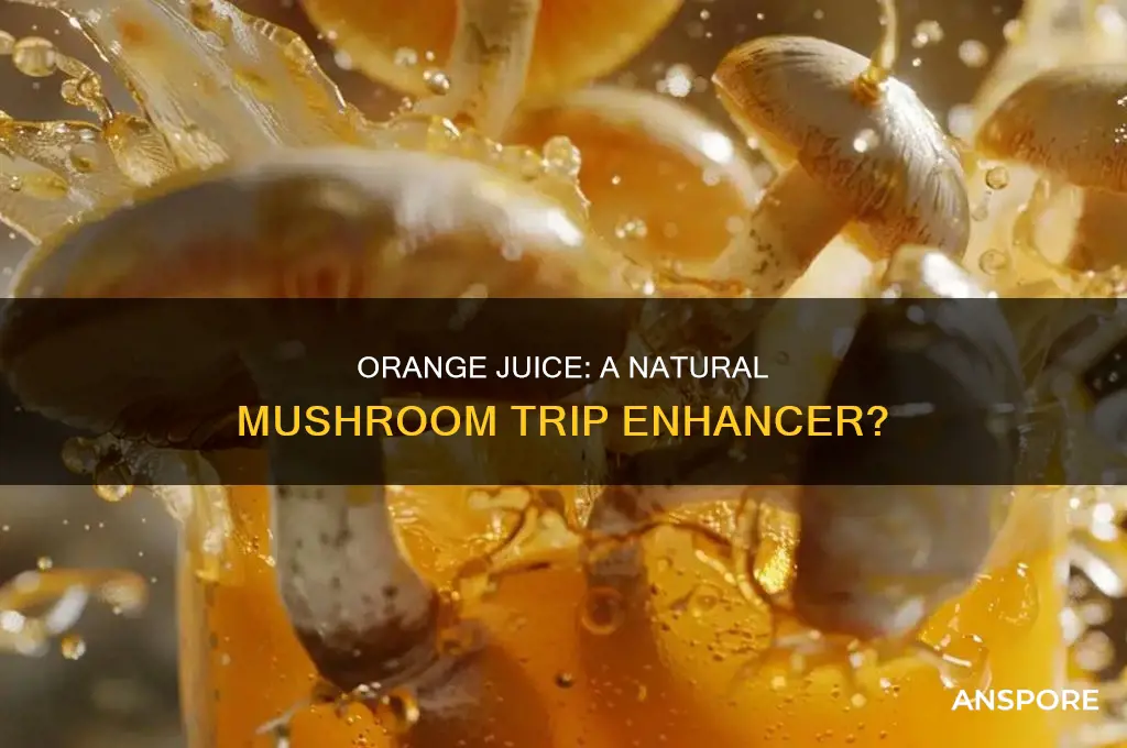 does orange juice help a mushroom teip
