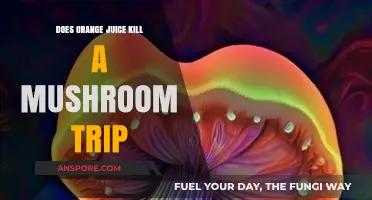Orange Juice: A Trip-Killer for Mushroom Users?