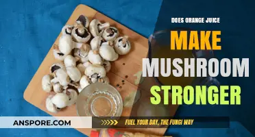 Orange Juice and Mushrooms: Unveiling the Strength-Boosting Myth