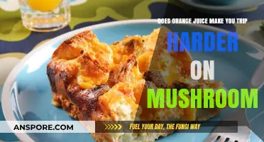 Orange Juice and Mushrooms: Does It Intensify Your Trip?