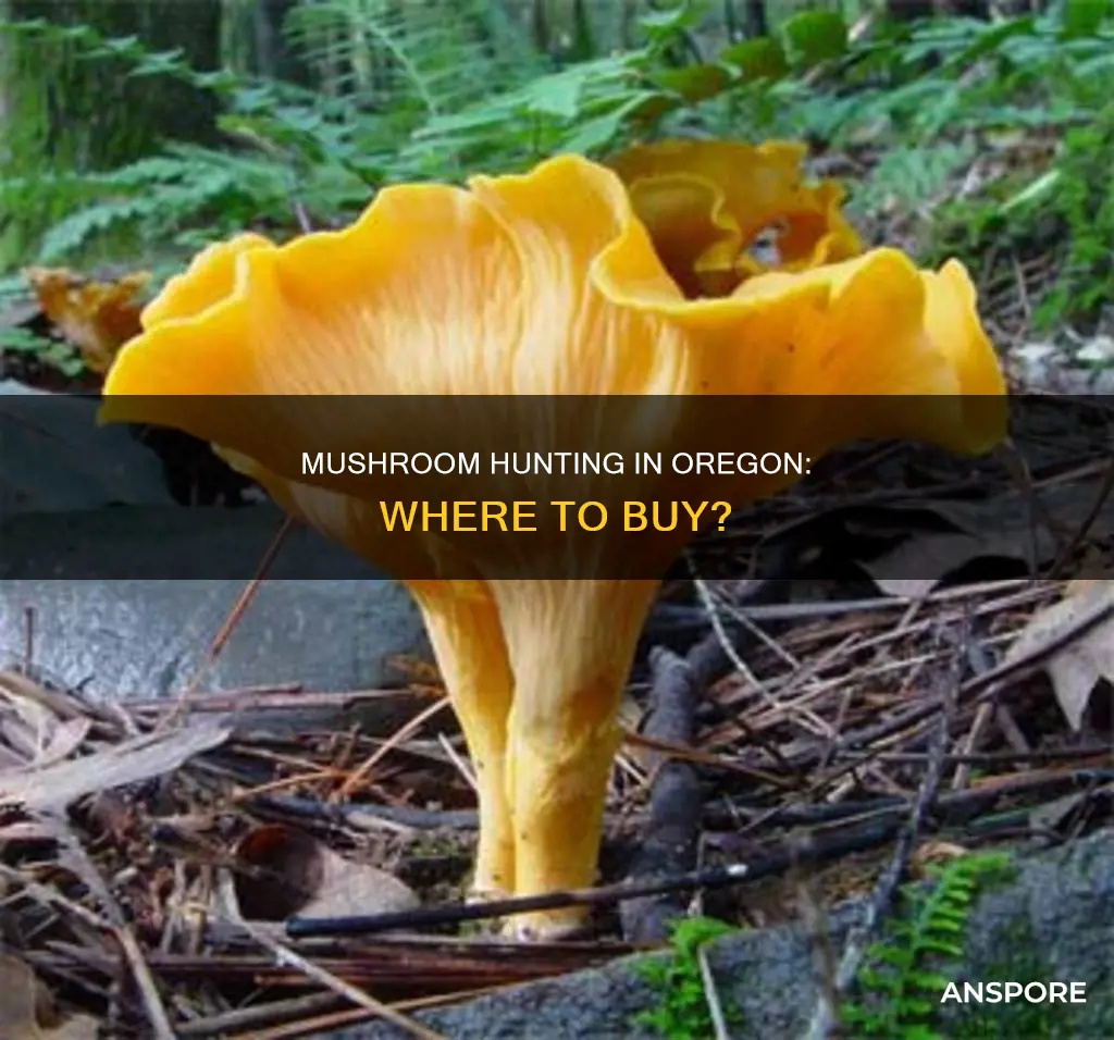 does oregon sell mushrooms