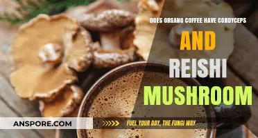 Organo Coffee: Cordyceps and Reishi Mushrooms Superpowers?