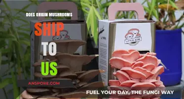 Origin Mushrooms: Shipping to the US?