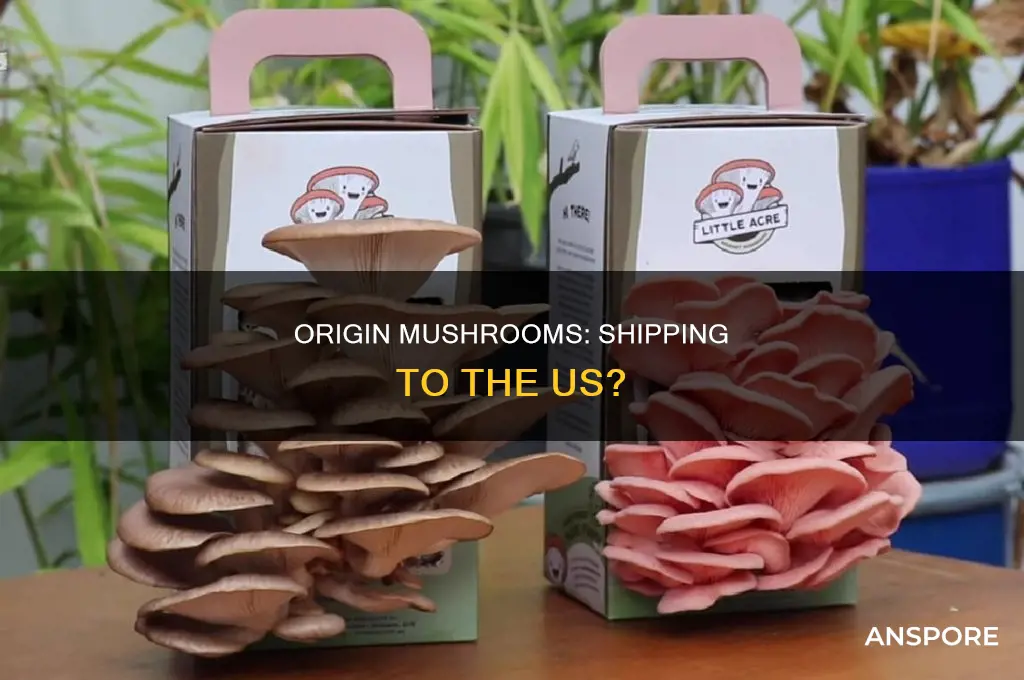 does origin mushrooms ship to us