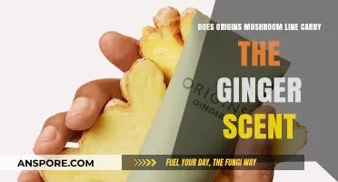Origins' Mushroom Line: Ginger Scented or Not?