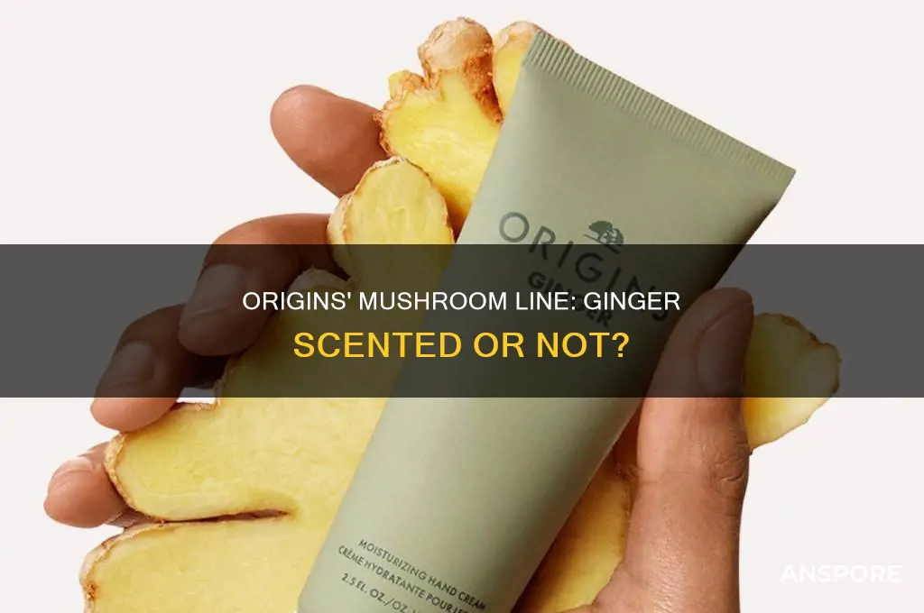 does origins mushroom line carry the ginger scent