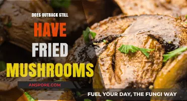 Outback's Fried Mushrooms: Still on the Menu?