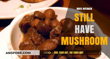 Outback's Mushroom Mystery: What's the Deal?