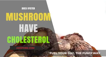 Oyster Mushrooms: Cholesterol-Free Superfood
