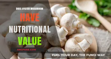 Oyster Mushrooms: Nutritional Powerhouses or Not?
