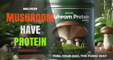 Mushroom Protein Power: Oyster's Nutritional Benefits