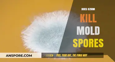 Does Ozium Effectively Kill Mold Spores? A Comprehensive Analysis