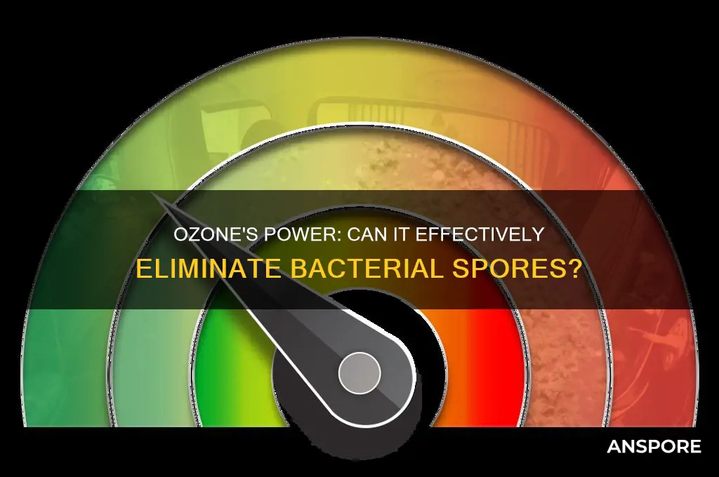 does ozone kill bacterial spores