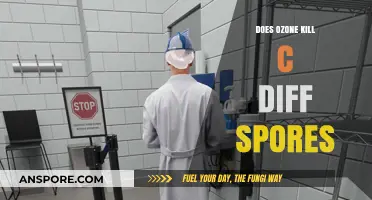 Ozone's Power: Can It Effectively Eliminate C. Diff Spores?