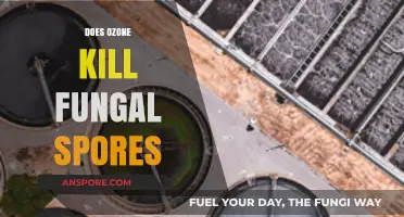 Ozone's Power: Effectively Eliminating Fungal Spores in Your Environment