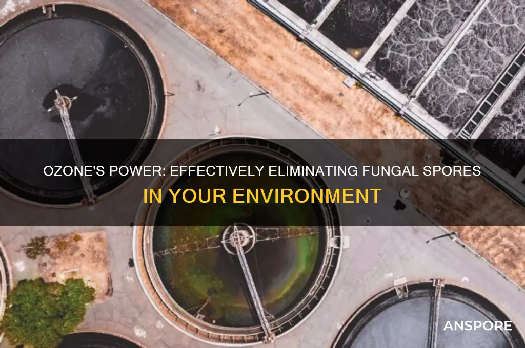does ozone kill fungal spores