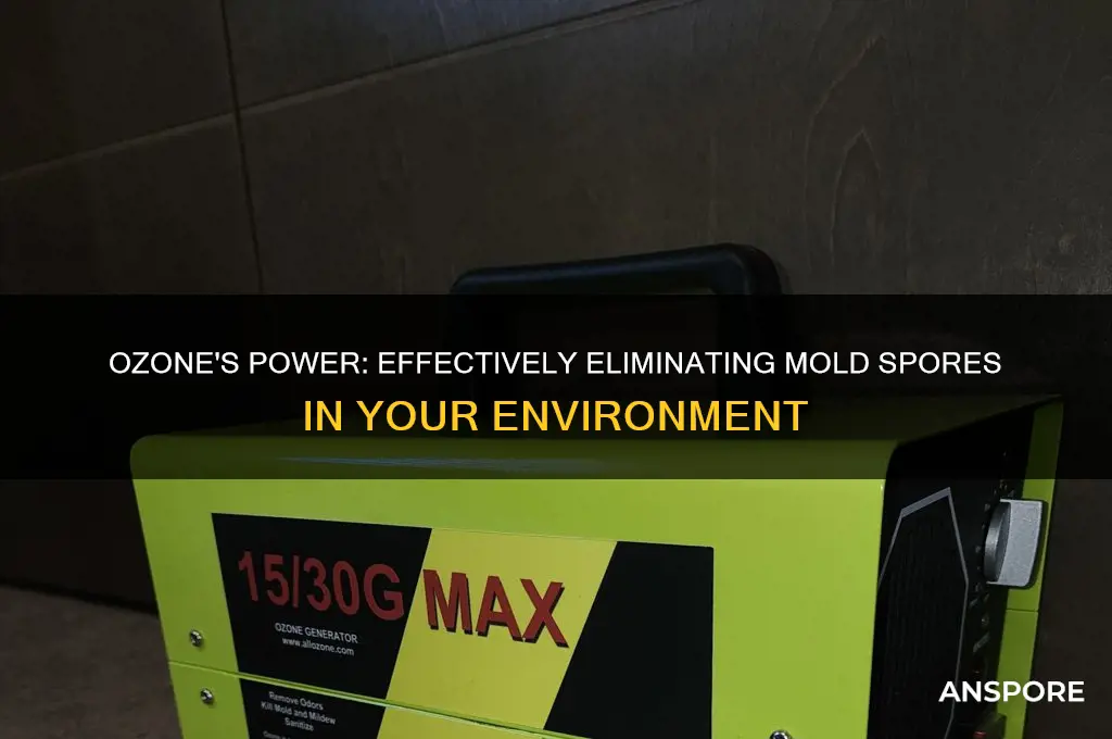 does ozone kill mold spores