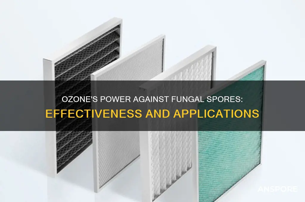 does ozone kipp fungal spores