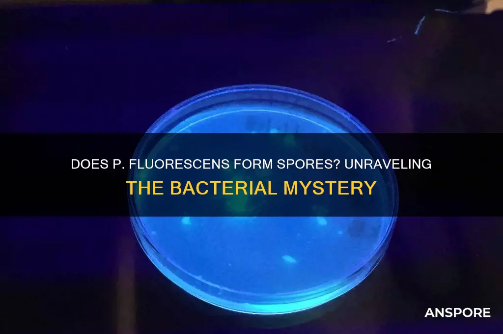 does p fluorescens form spore