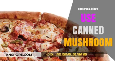Does Papa John's Use Canned Mushrooms? The Truth Revealed