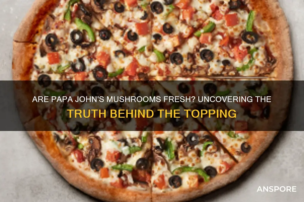 does papa john