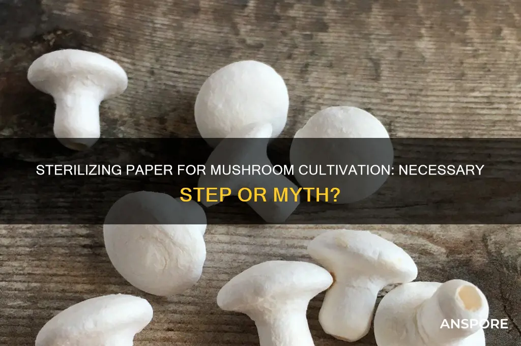 does paper need to be sterilized to grow mushrooms