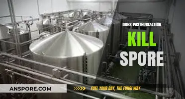 Does Pasteurization Kill Spores? Unraveling the Science Behind the Process
