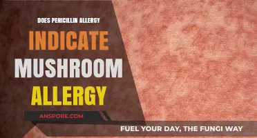 Penicillin vs Mushroom Allergies: What's the Connection?