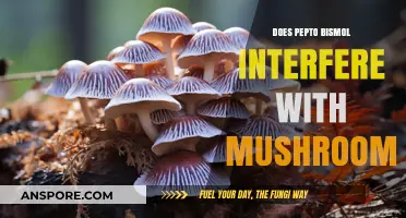 Pepto-Bismol and Magic Mushrooms: A Dangerous Mix?