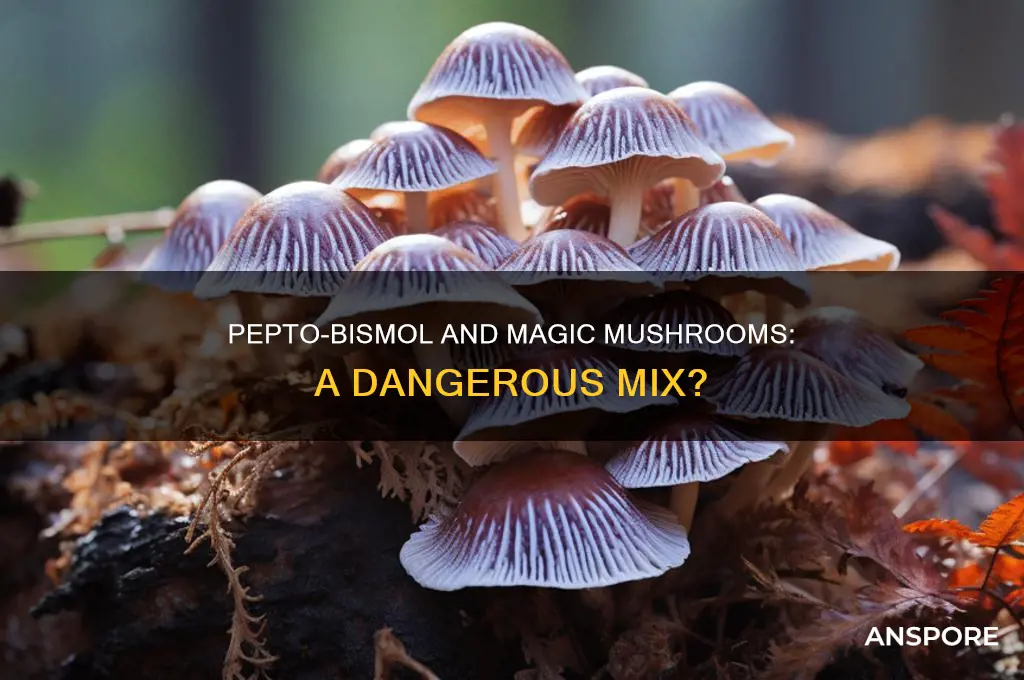 does pepto bismol interfere with mushrooms