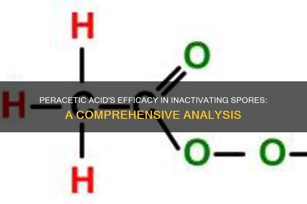 does peracetic acid inactivate spores