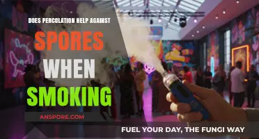 Percolation vs. Spores: Does It Enhance Smoking Safety?